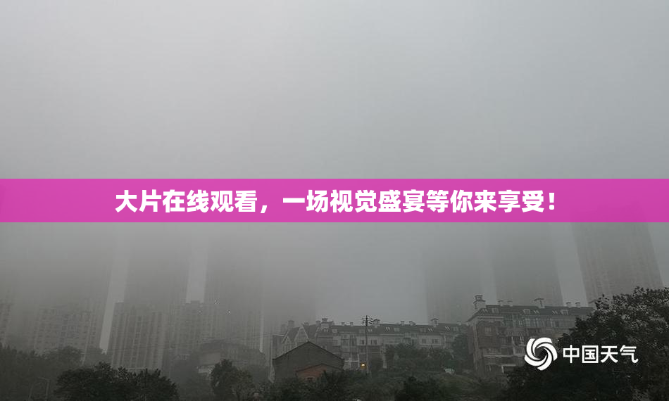 大片在线观看，一场视觉盛宴等你来享受！