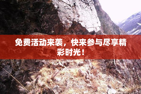 免费活动来袭，快来参与尽享精彩时光！