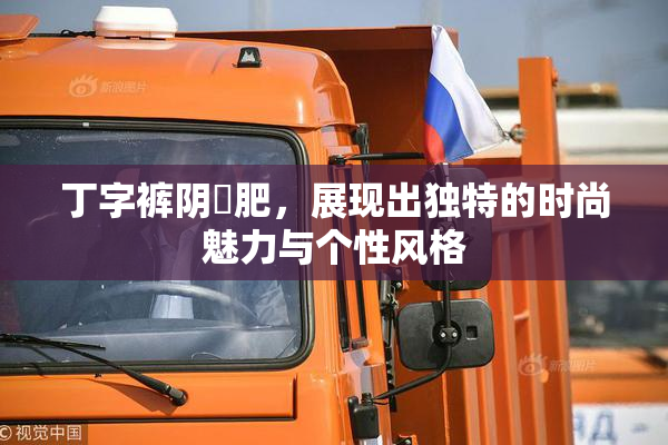 丁字裤阴脣肥，展现出独特的时尚魅力与个性风格