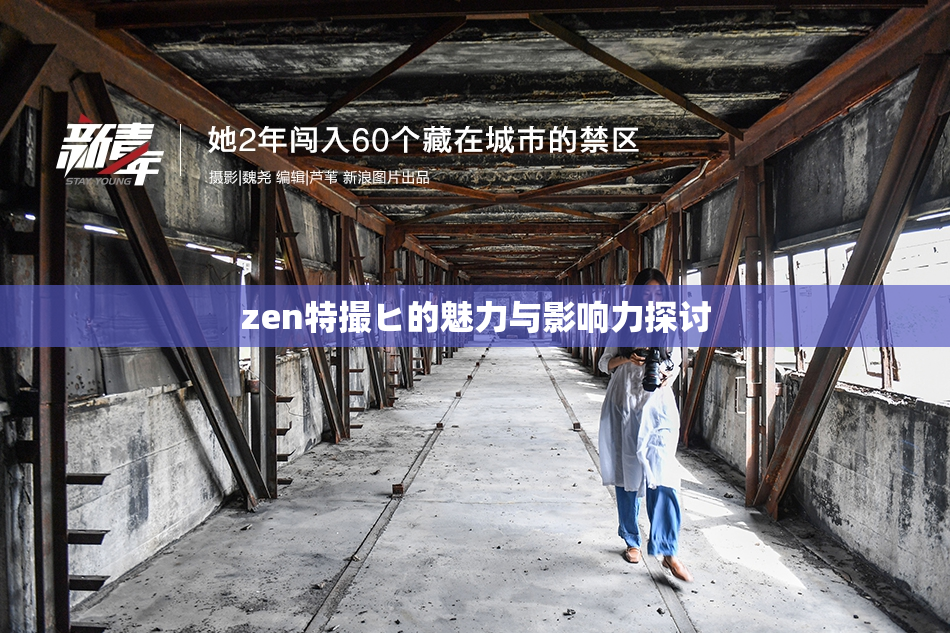 zen特撮ヒ的魅力与影响力探讨