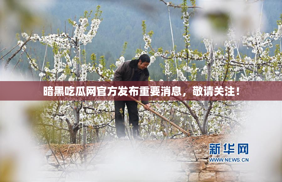 暗黑吃瓜网官方发布重要消息，敬请关注！