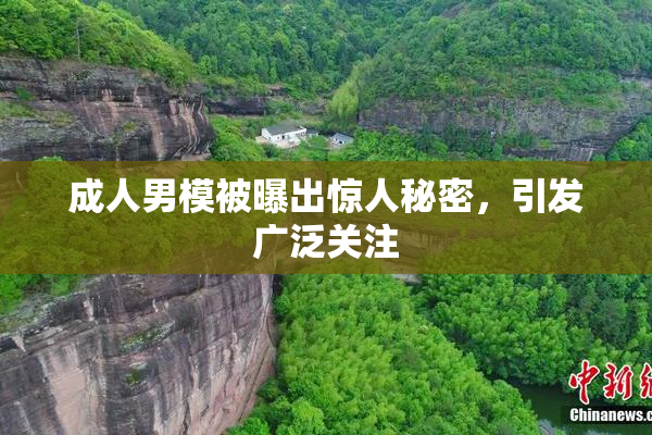 成人男模被曝出惊人秘密，引发广泛关注