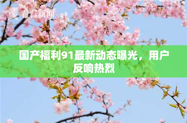 国产福利91最新动态曝光，用户反响热烈