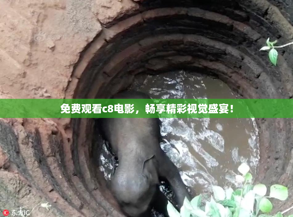 免费观看c8电影，畅享精彩视觉盛宴！