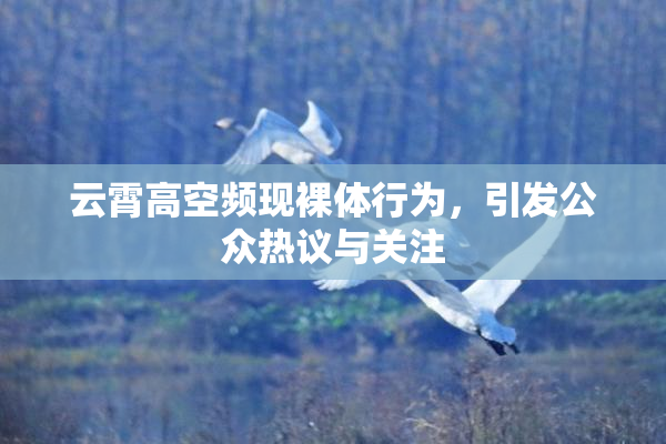 云霄高空频现裸体行为，引发公众热议与关注