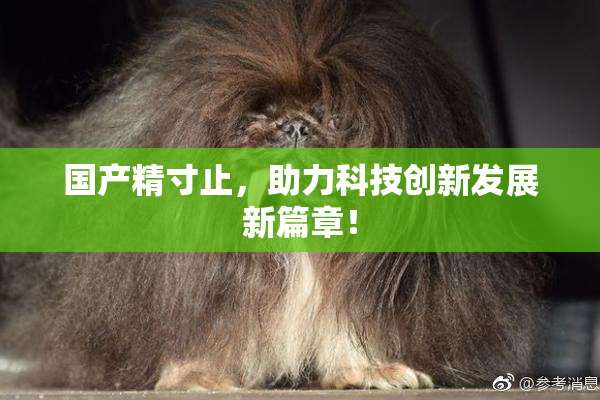 国产精寸止，助力科技创新发展新篇章！