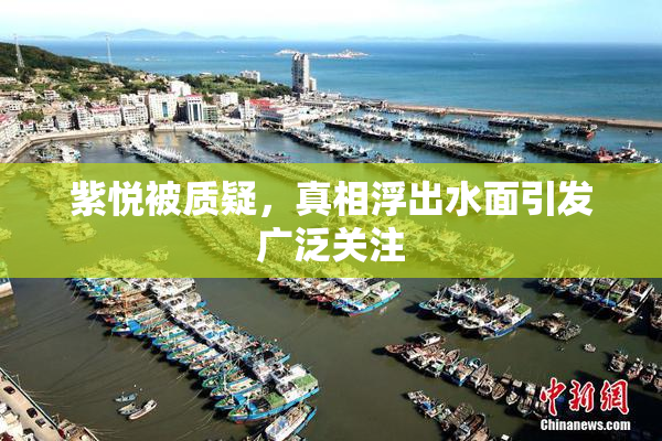 紫悦被质疑，真相浮出水面引发广泛关注