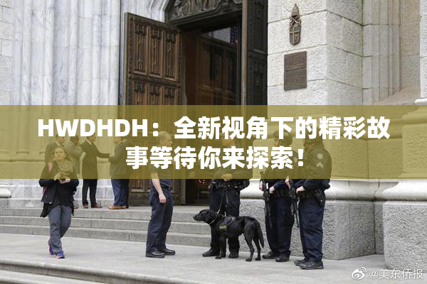 HWDHDH：全新视角下的精彩故事等待你来探索！