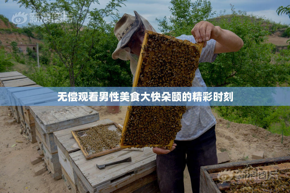 无偿观看男性美食大快朵颐的精彩时刻