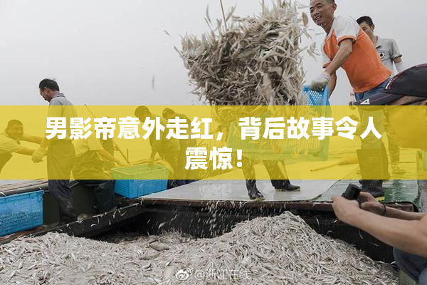 男影帝意外走红，背后故事令人震惊！