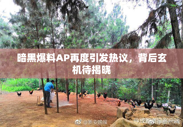 暗黑爆料AP再度引发热议，背后玄机待揭晓