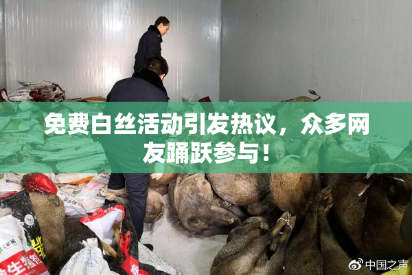 免费白丝活动引发热议，众多网友踊跃参与！