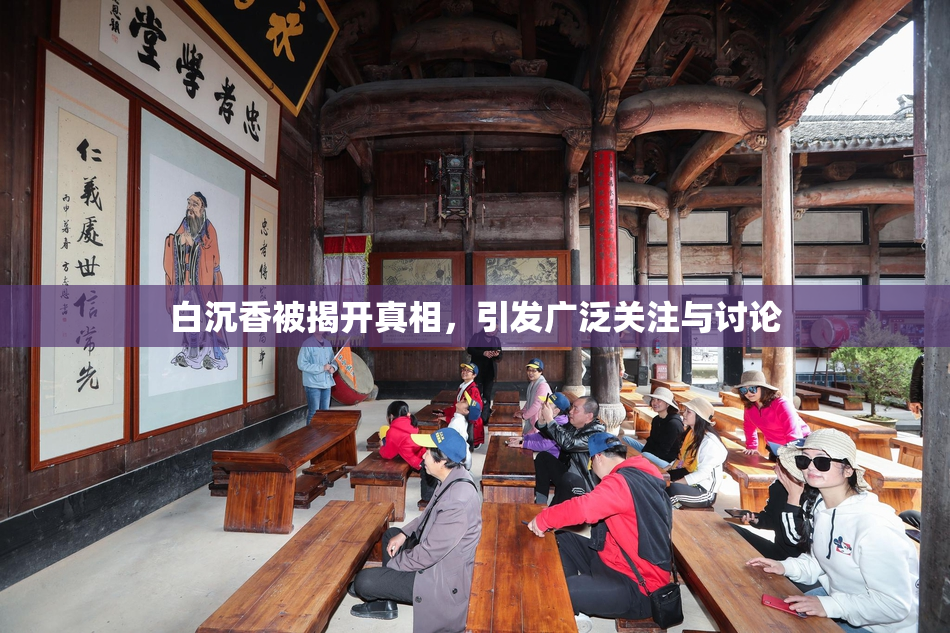 白沉香被揭开真相，引发广泛关注与讨论