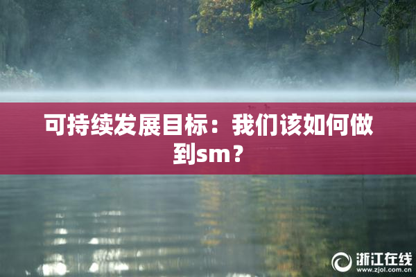 可持续发展目标：我们该如何做到sm？