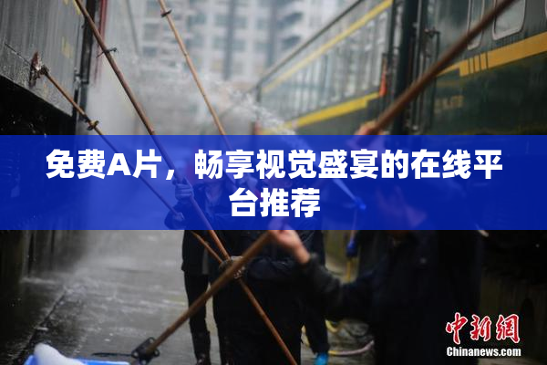 免费A片，畅享视觉盛宴的在线平台推荐