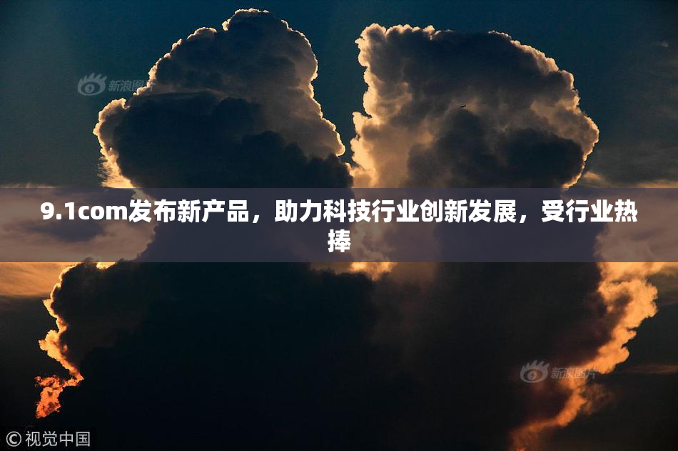 9.1com发布新产品，助力科技行业创新发展，受行业热捧