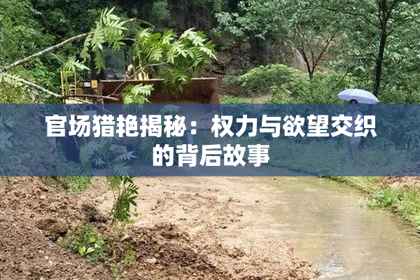 官场猎艳揭秘：权力与欲望交织的背后故事