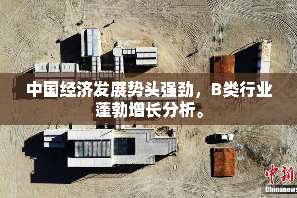 中国经济发展势头强劲，B类行业蓬勃增长分析。