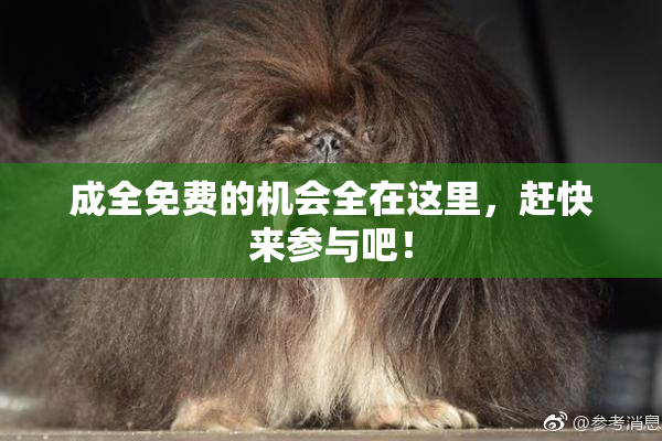 成全免费的机会全在这里，赶快来参与吧！