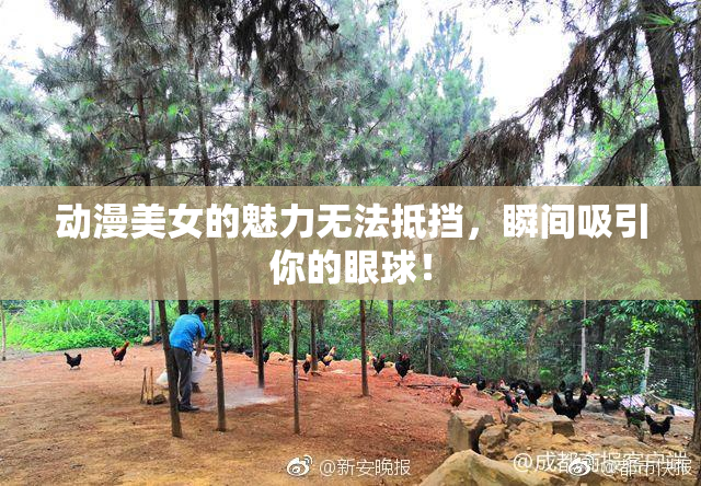 动漫美女的魅力无法抵挡，瞬间吸引你的眼球！