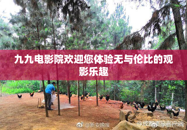 九九电影院欢迎您体验无与伦比的观影乐趣