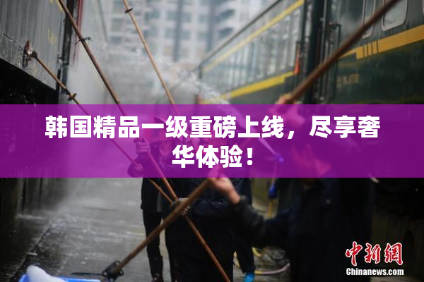 韩国精品一级重磅上线，尽享奢华体验！