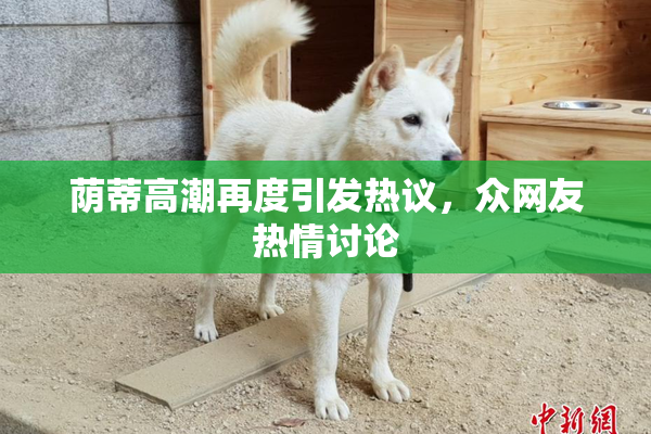 荫蒂高潮再度引发热议，众网友热情讨论