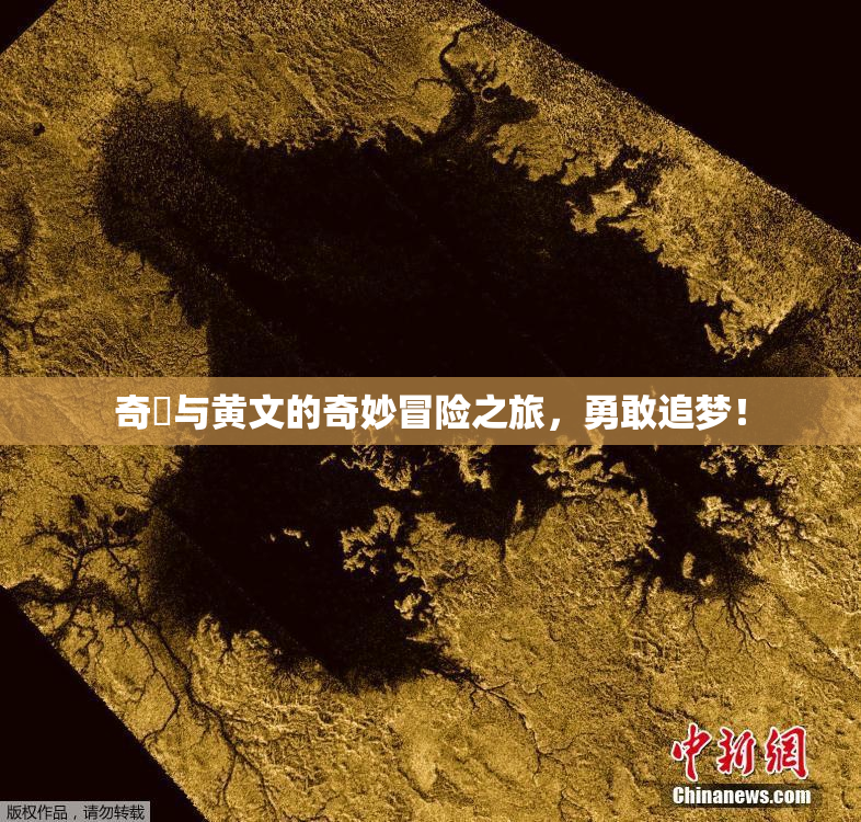 奇犽与黄文的奇妙冒险之旅，勇敢追梦！