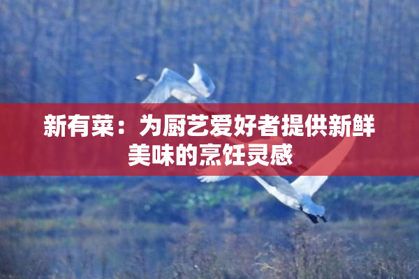 新有菜：为厨艺爱好者提供新鲜美味的烹饪灵感