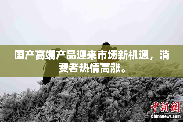 国产高端产品迎来市场新机遇，消费者热情高涨。