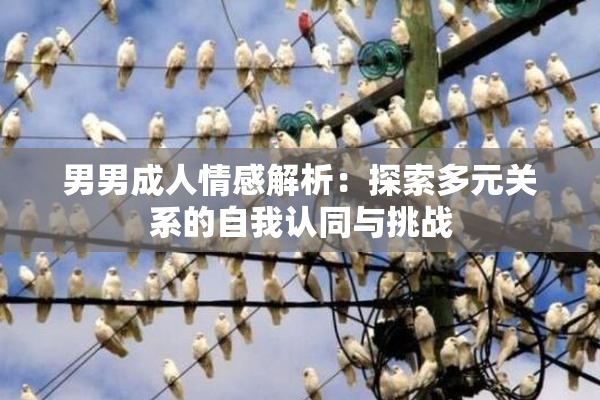 男男成人情感解析：探索多元关系的自我认同与挑战