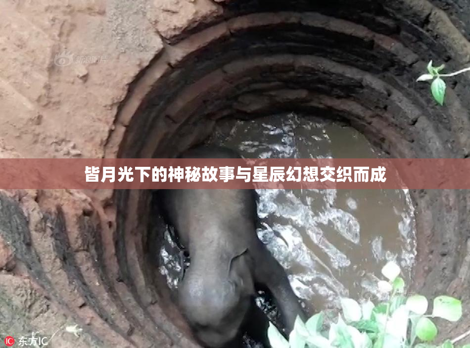皆月光下的神秘故事与星辰幻想交织而成