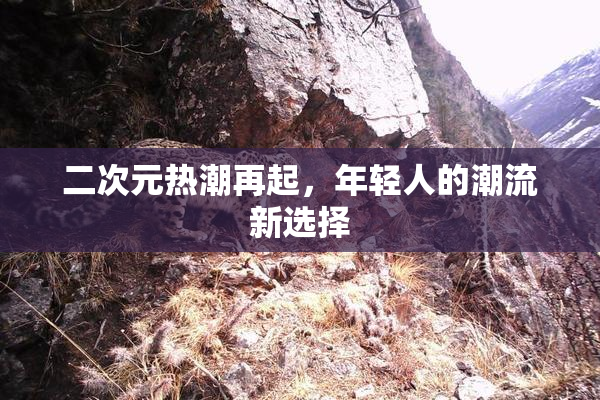 二次元热潮再起，年轻人的潮流新选择
