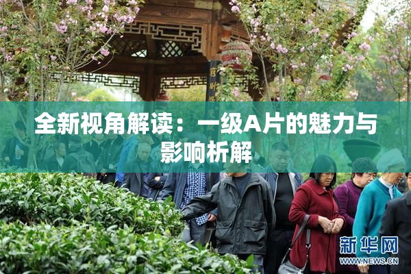 全新视角解读：一级A片的魅力与影响析解