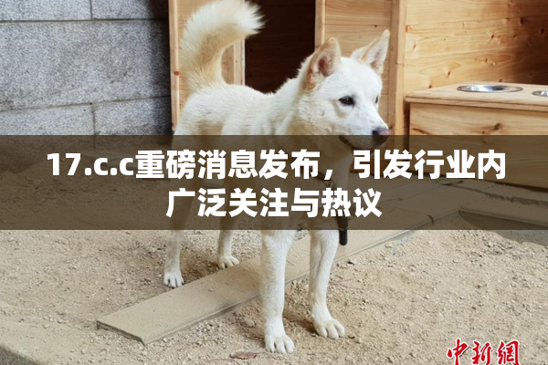 17.c.c重磅消息发布，引发行业内广泛关注与热议