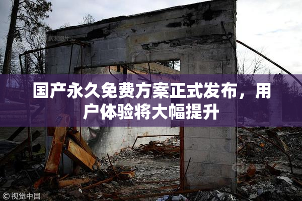 国产永久免费方案正式发布，用户体验将大幅提升
