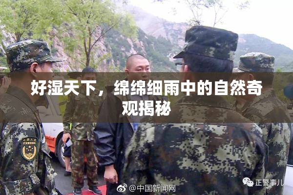 好湿天下，绵绵细雨中的自然奇观揭秘