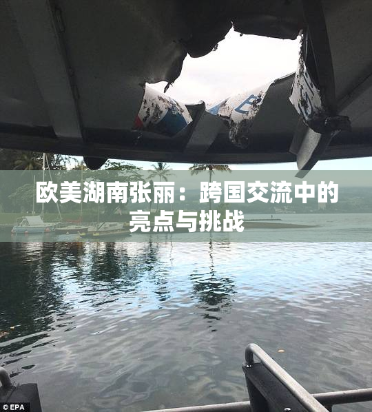 欧美湖南张丽：跨国交流中的亮点与挑战