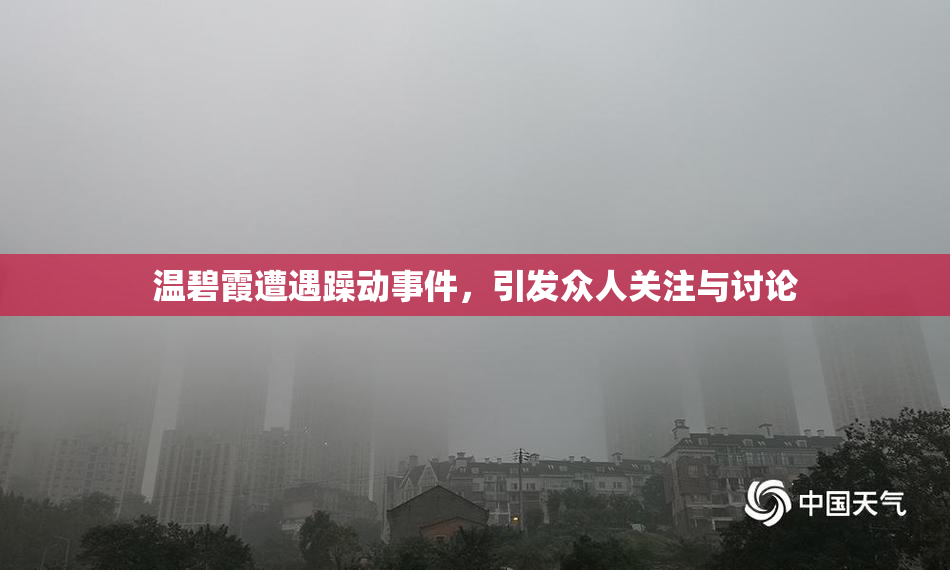 温碧霞遭遇躁动事件，引发众人关注与讨论