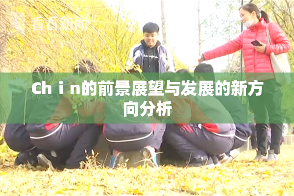 Chⅰn的前景展望与发展的新方向分析
