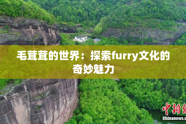 毛茸茸的世界：探索furry文化的奇妙魅力