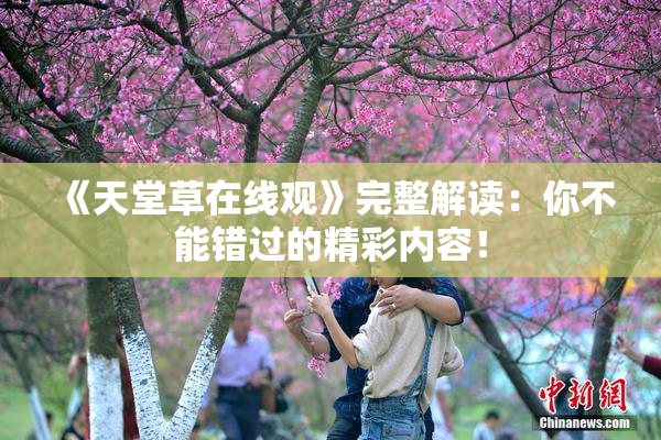 《天堂草在线观》完整解读：你不能错过的精彩内容！