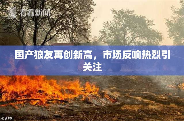 国产狼友再创新高，市场反响热烈引关注