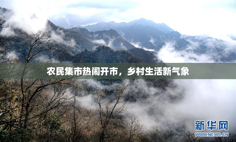 农民集市热闹开市，乡村生活新气象