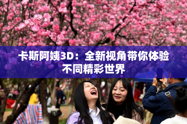 卡斯阿姨3D：全新视角带你体验不同精彩世界
