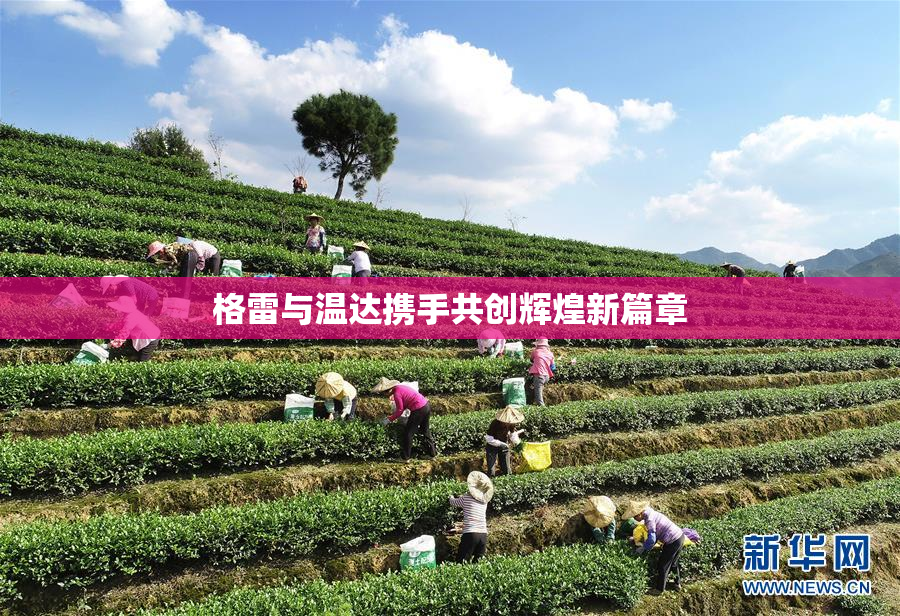 格雷与温达携手共创辉煌新篇章