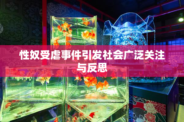 性奴受虐事件引发社会广泛关注与反思