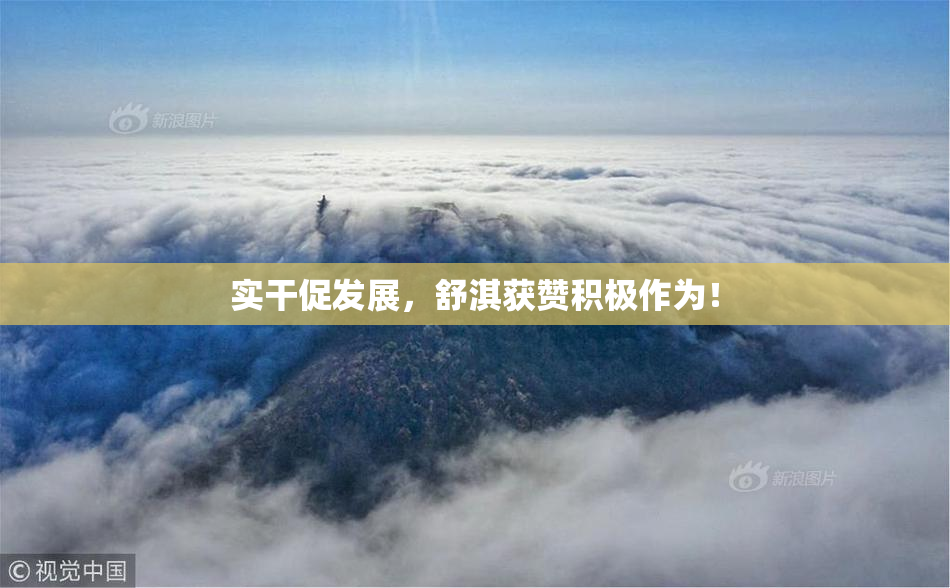 实干促发展，舒淇获赞积极作为！
