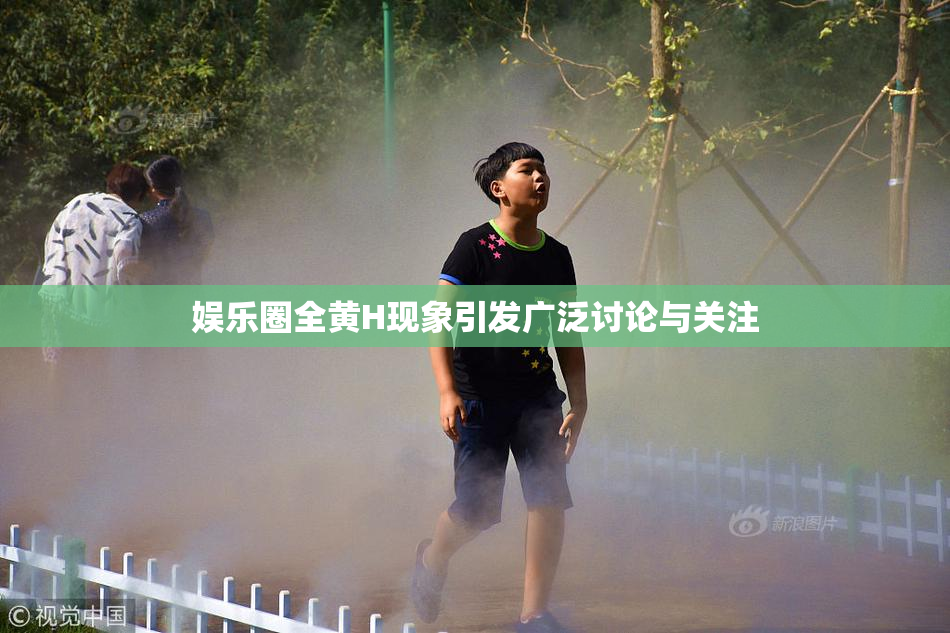 娱乐圈全黄H现象引发广泛讨论与关注