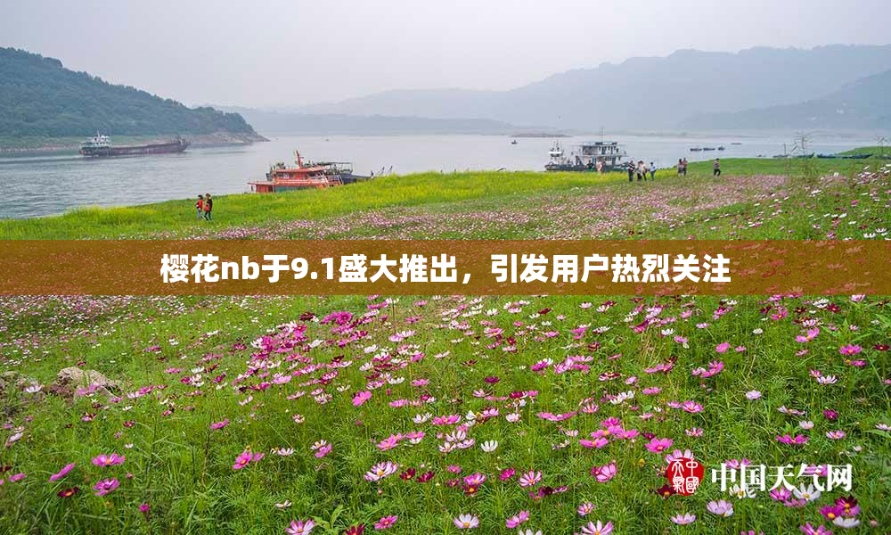 樱花nb于9.1盛大推出，引发用户热烈关注